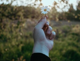 girl holding daisy