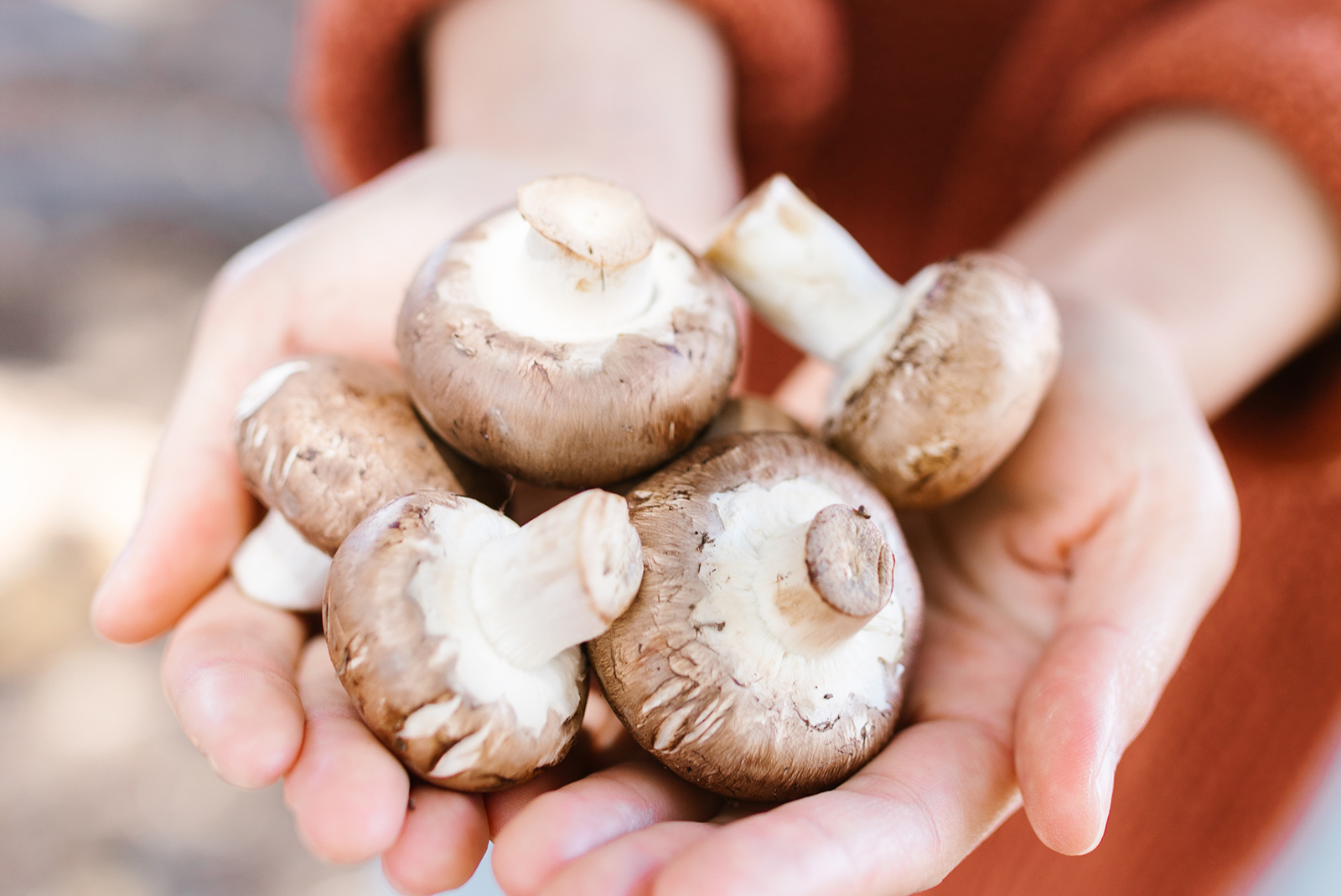 Handful of Mushrooms